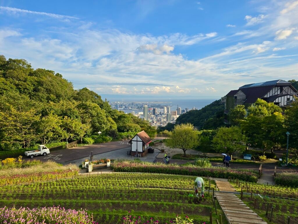 View from Herb Gardens